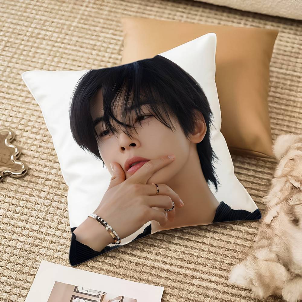 

C-cha Eun W-Woo ACTOR Pillow Case Anti-dustmite Invisible Zipper Sofa Bed 12x12Inch