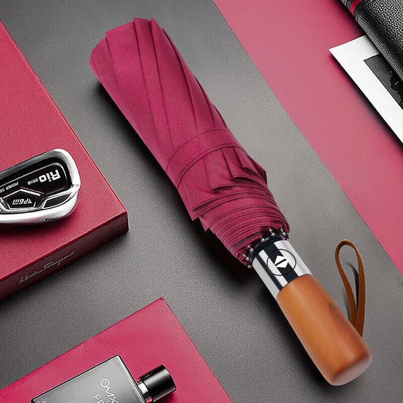 Hongye Automatic Dual-Purpose Umbrella