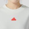 (WMNS) adidas Future Icons 3-Streifen Sweatshirt Asien-Größe 'Beige Orange' Damen IS3878