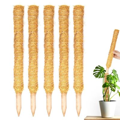 Moss Stick Plant Pole Monstera 30cm for Climbing Plants Coir Totem Plant Support for Indoor Potted Plants Train Creeper Plants Grow Upwards
