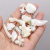 10Pcs Natural Shell Pendant Mother Of Pearl Small Charms For Jewelry Making DIY Necklace Earrings Accessory, Crafts