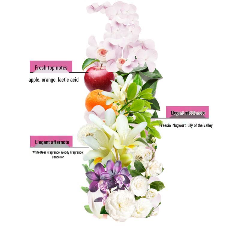 Lincoln Anti-Schuppen Shampoo & Spülung Set