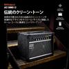 Roland/JC-22 Roland Guitar Amp Jazz Chorus 30W