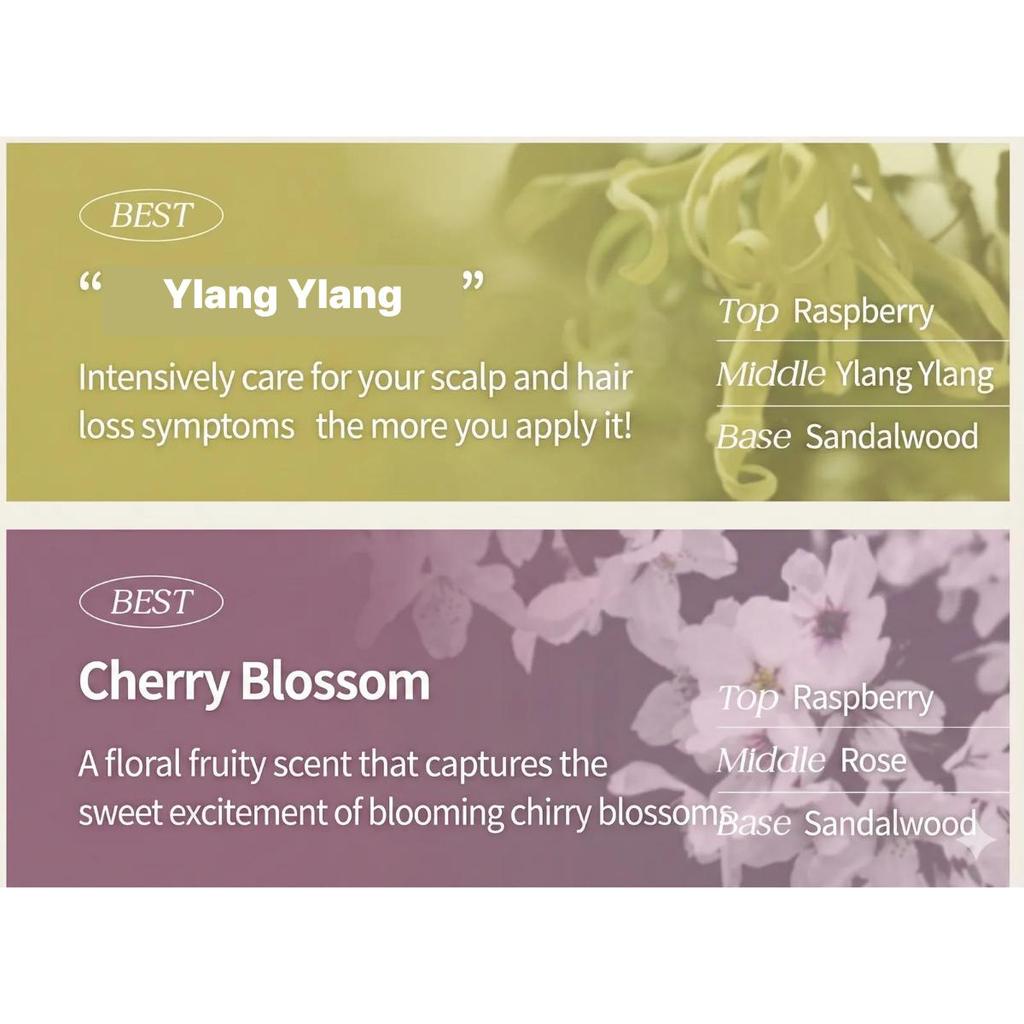 [KUNDAL] Honey & Macadamia Shampoo 500ml + Treatment 500ml Set (4 Scent Options)