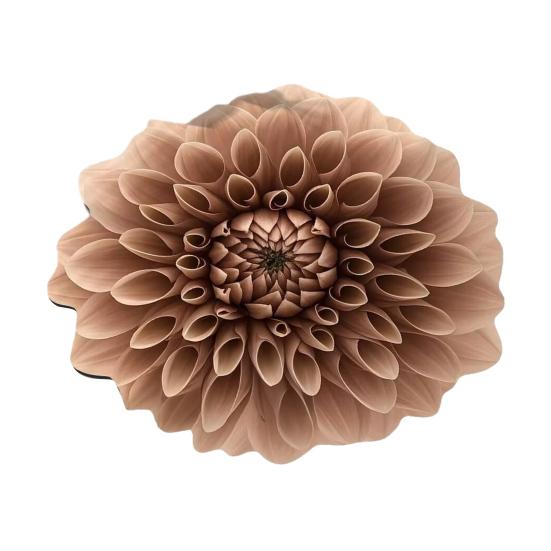 3D Blume Plüsch Bodenmatte Waschbar Rutschfest Bereichsteppich Saugfähig Schnelltrocknend Wohnzimmer Schlafzimmer Badezimmer Küche Dekoration Teppich