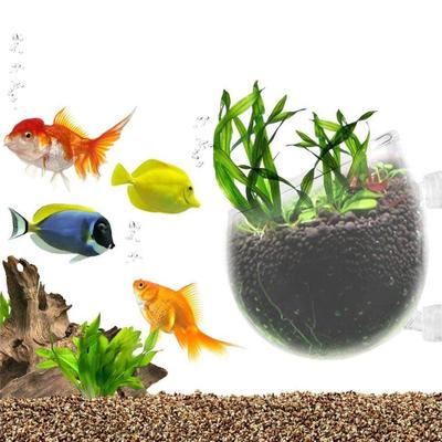 Aquarium-Blumentopf aus Glas, Zylinderbecher mit Saugnäpfen zum Kultivieren von Wasserpflanzensamen, Korallenmoos, Aquarium-Dekorationszubehör