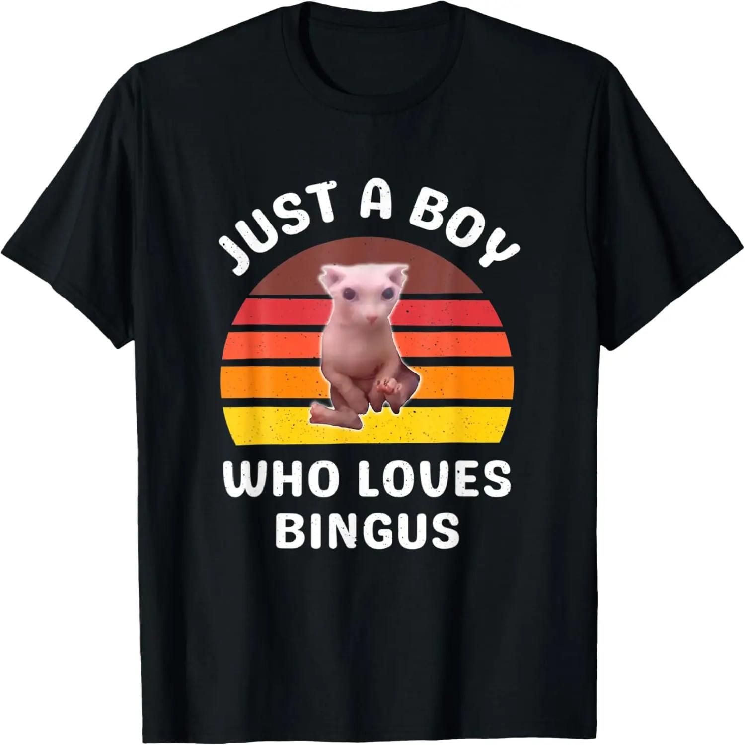Just A Boy Who Loves Bingus Funny Hairless Sphynx Cat T-Shirt S