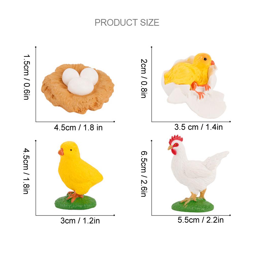 Cock Growth Cycle Model Children Miniature Simulation Animal Early Education Statue Toy