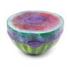 4 Pcs Silicone Lids for Fruit Or Bowls Cups Food Cover Set Of Food  Stretch