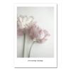 Posters Black And White Flower Print Fresh Wall Art Feather Dandelion Pictures Canvas Living Room Decoration Wall Paintings