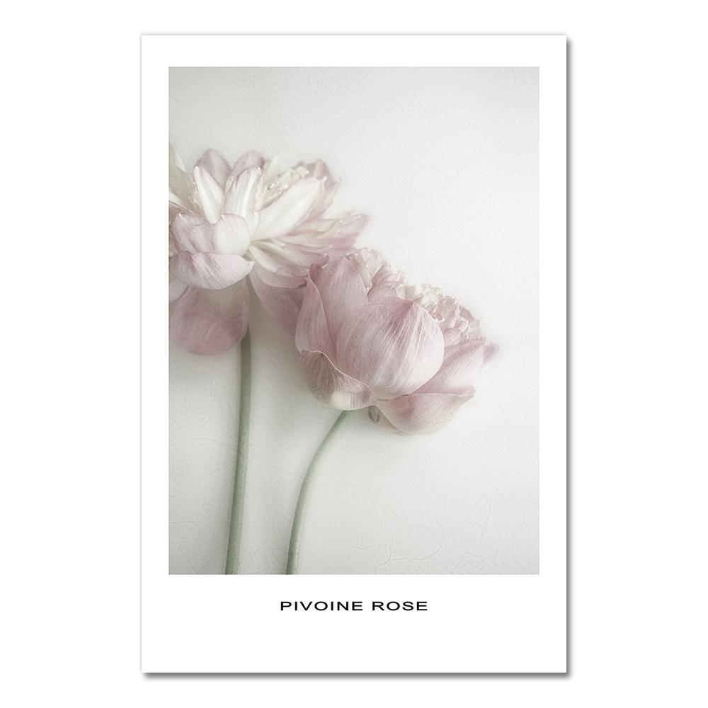 Posters Black And White Flower Print Fresh Wall Art Feather Dandelion Pictures Canvas Living Room Decoration Wall Paintings