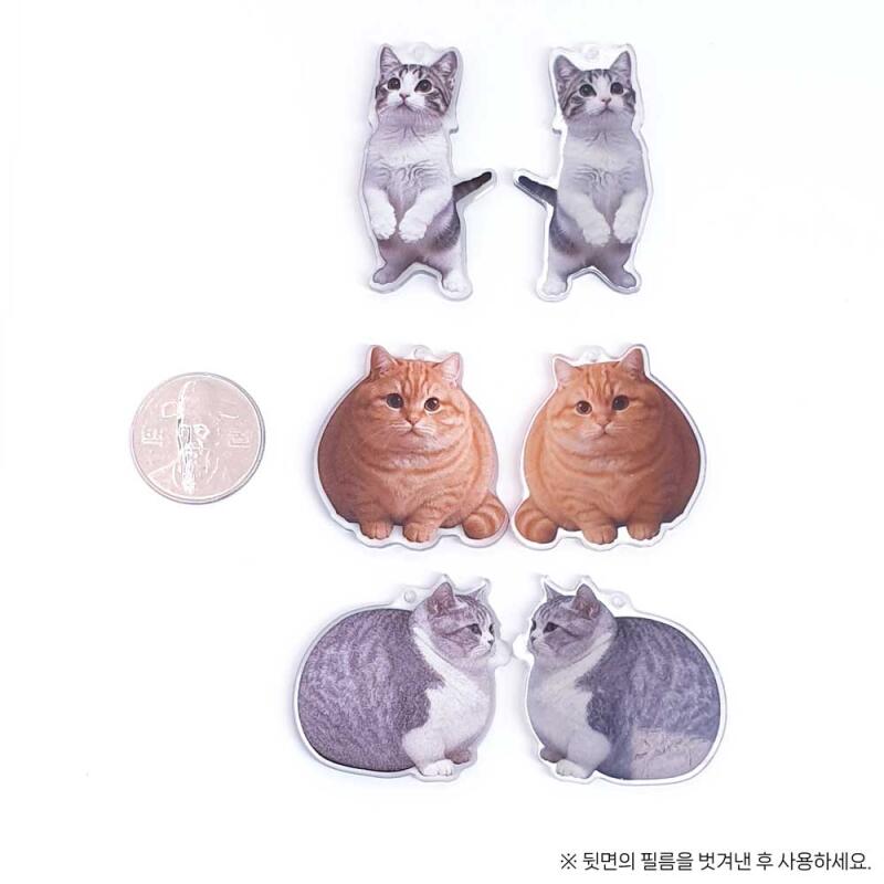 Acrylic Animal Fat Cat Keychain Accessory Supplies