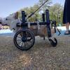 Four-Leg Support Dog Wheelchair for Rehabilitation and Mobility - Medium & Large Dogs