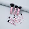 Cangzhou 10-teiliges Reise-Make-up-Pinselset: Tragbare Pinsel für losen Puder, Rouge, Nasenschatten und Lidschatten