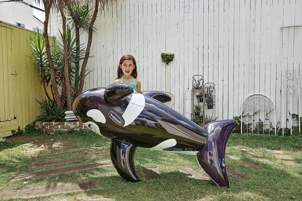 Igarashi Orca Float (Black) 180 x 115 cm FRB-184V