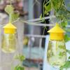 Fruit Fly Trap Killer Yellow Plastic Drosophila Trap Anti Fly Fruit Fly Killer Catcher Orchard Insect Trap Pest Control Products