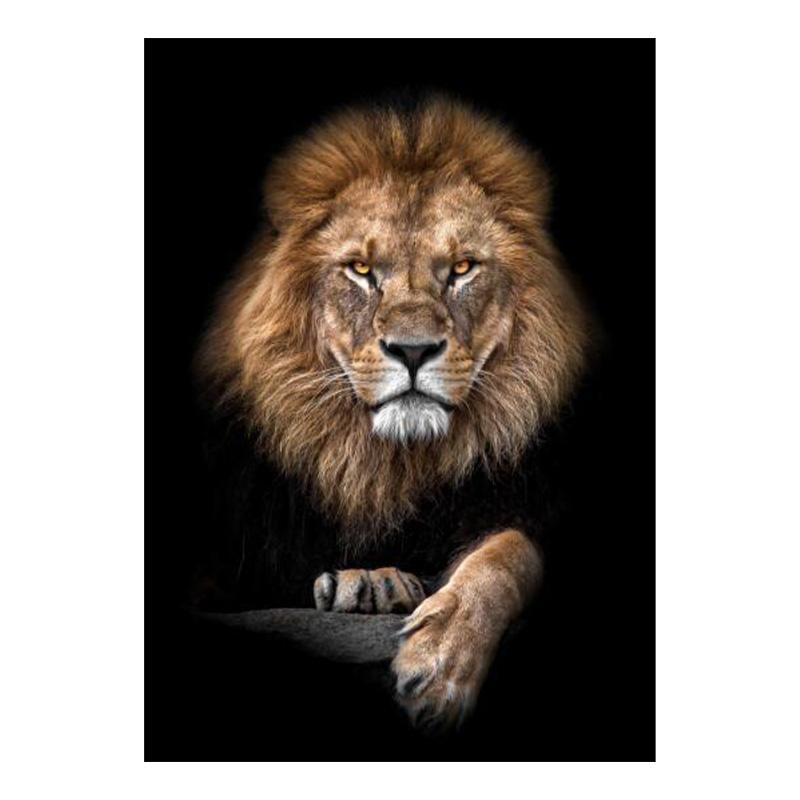 Lei africani sălbatici în întuneric Pictură pânză pe perete Postere și imprimeuri Animale alb-negru Poze Decor pentru acasă