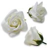 White Soap Rose