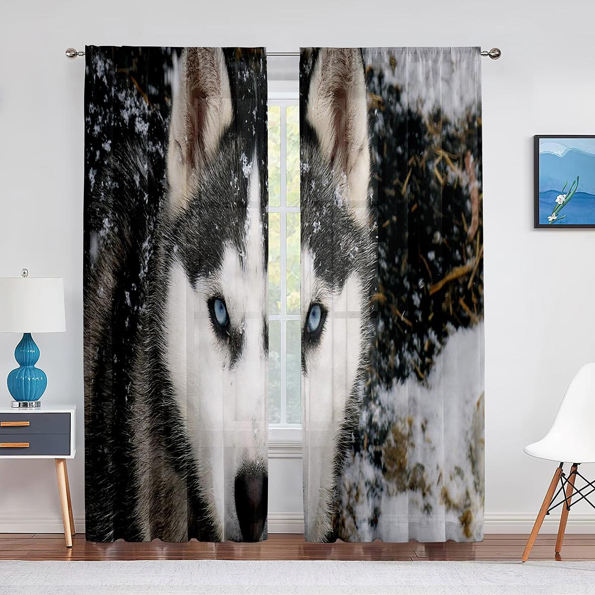 Зимние снежные собаки хаски — фото 7