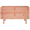 Raised Garden Bed 101 x 50 x 57 cm Solid Douglas Fir Wood
