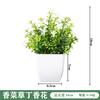 Simulated Bonsai Green Plants Succulent Plant Potted Artificial Flower Ornament Office Desktop Decoration Home Room Decoration