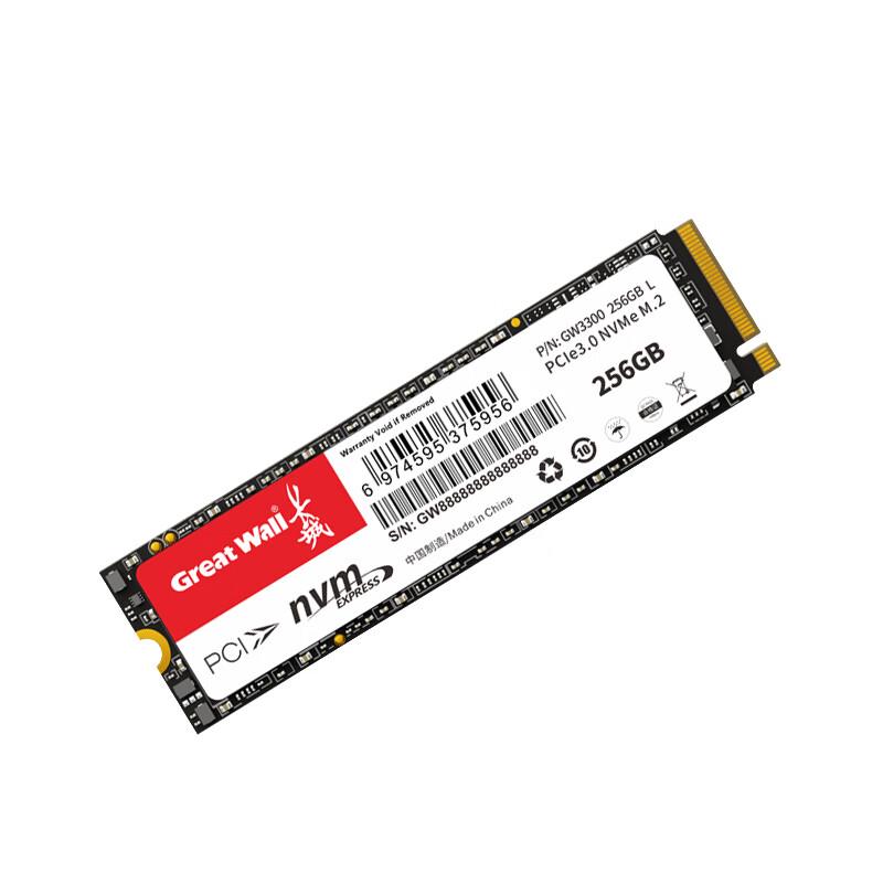 Great Wall M.2 NVMe SSD
