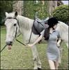 2022 Korean Slim Fit Polo Collar Bodycon Dress for Petite Sizes