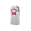 Nike NBA Giannis Antetokounmpo Milwaukee Bucks 2018/19 Authentic Jersey #34 Men's BQ1165-100