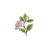 1Pcs Jacket Jeans Craft Accessories Flower Embroidery Patch Iron On Elegant Patches For Clothes Bags DIY Embroidered Stickers