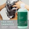 Shampoo Tea Tree 300ml per Cuoio Capelluto Pruriginoso e Grasso Antifungino Controllo Sebo Detergente