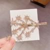 Stella Cristallo Dolce Per Donne Ragazze Copricapo Strass Fermagli per Capelli Fermaglio Accessori per Capelli Clip Laterale Barrettes