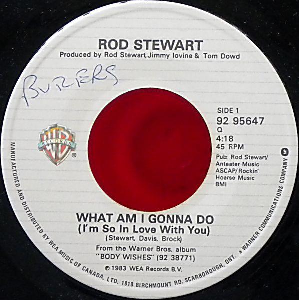 

7inch Record ROD STEWART What Am I Gonna Do Im So In Love 9295647 Warner Bros. Re 1983 Canada Rock Used