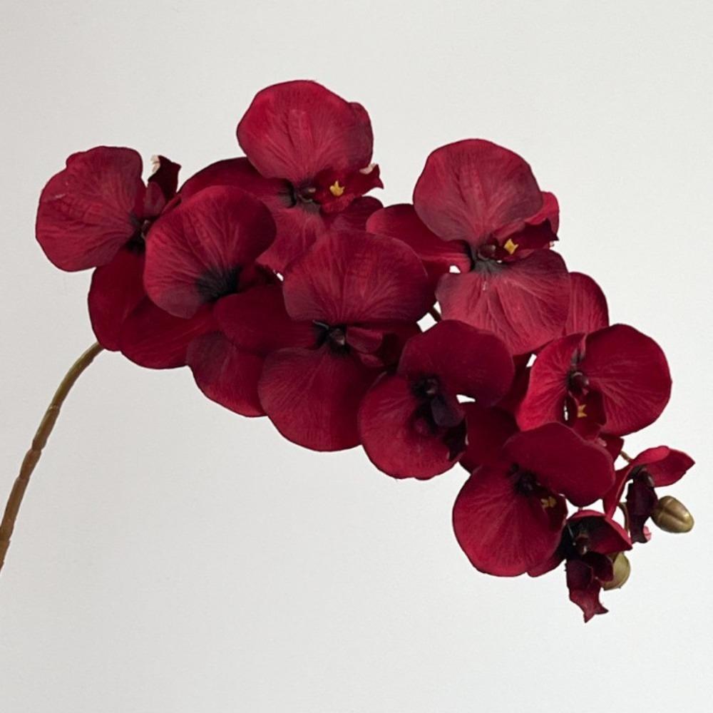 10 Blüten Künstliche Schmetterlingsorchidee Real Touch Draht Innenfutter Fake Phalaenopsis Mehrfarbig 98cm Seidenblume