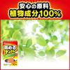 Hardening Temple Oil Treatment 10 packets oil per 1 includes wet towel Agent, (600ml packet), box, kitchenware,