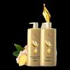 ShuLei Ginseng Ginger Hair Strengthening Shampoo