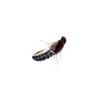 24-72Pcs Artificial Insect Bait Set, with Dry/Wet Flies, Fly Fishing Flies Kit, Fly Assortment Trout Bass Fishing Baits Lures with Fly Box