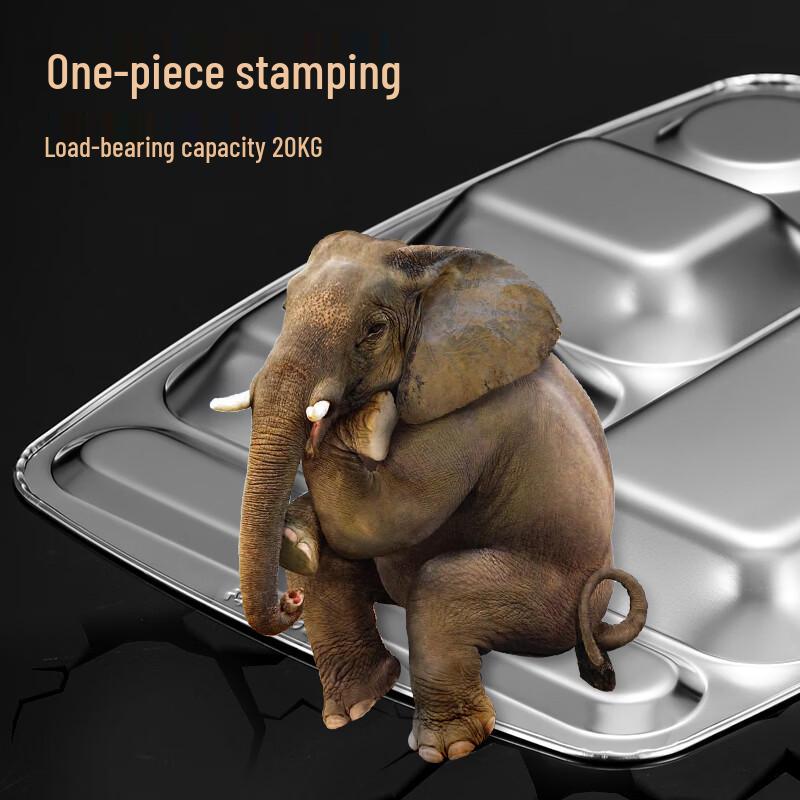 Shengjia 316 Stainless Steel Compartmented Meal Tray