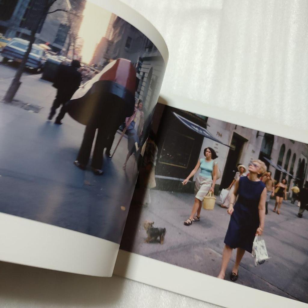 [USED] JOEL MEYEROWITZ "OUT OF THE ORDINARY