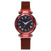 Fashionable Women Round Dial Roman Numerals Quartz Alloy Mesh Belt Wristwatch(Red)