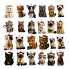 Christmas Advent Calendar with 24 Different Breeds Acrylic Cat Cat Lovers Advent Calendar 2025 for Cats Ladies & Collectors