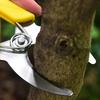 Stainless Steel Grafting Tool, Professional Gardening Pruning Scissors, with Bark Cutter, Fruit Tree Sapling Grafting Ring Knife