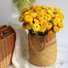 Natural Dried Daisy Bouquet for Living Room or Bedroom Décor and Photography Props