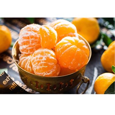 5D diamant peinture broderie artisanat fruits Orange bricolage diamant broderie cadeau diamant mur Art