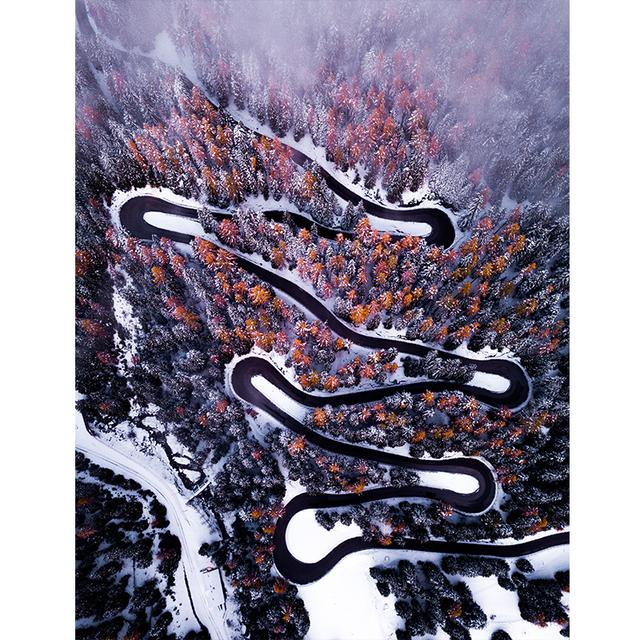Vertical Board Beautiful Forest Scenery Modern Photo Painting Highway Winding Lines Wall Stickers HD Printing Art Decoration