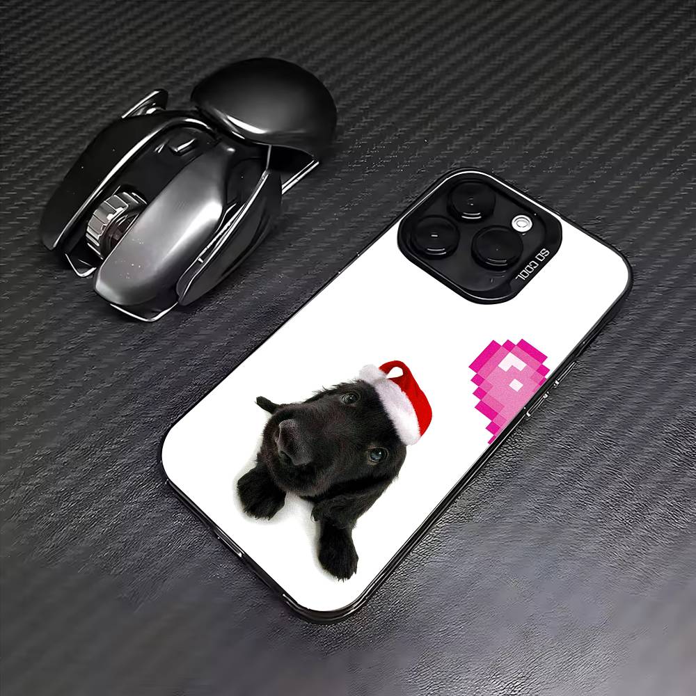 

Влюбленная пара Чехол для телефона Для iPhone17,16,15,14,13,12,11 Plus,Pro Max Цветной Посеребренный Внутренняя крышка iPhone14