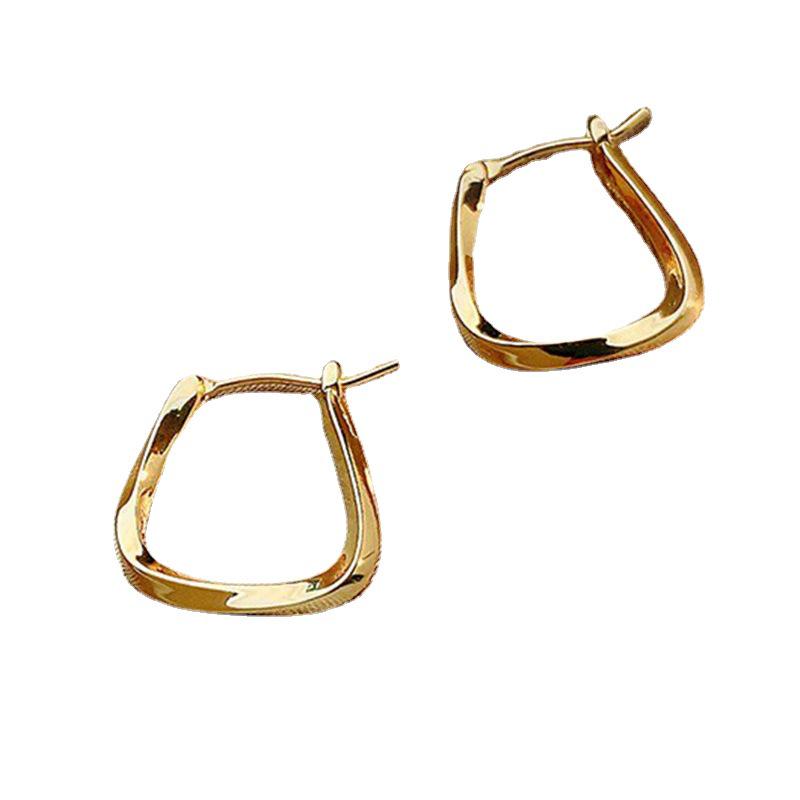 Elegant Autumn & Winter 2022 Hoop Earrings for Women – Trendy, Minimalist, Silver Needle, High-End Design