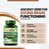 Vlado’s Himalayan Organics Ginkgo Biloba 500mg With Brahmi Capsules for Focus, Memory & Energy, 60 Veg Capsules