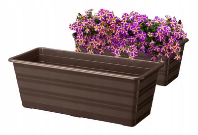 Ev Dekoru – Dekoratif saksılar