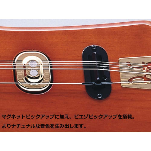 SUZUKI Electric Taishokoto Amber Soprano