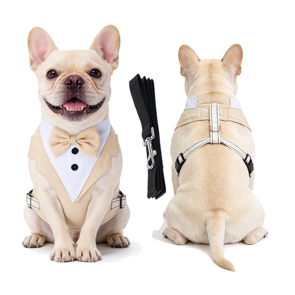 Complete Pet and Leash Set for Everyday Walking , Training and Outdoor Adventures
